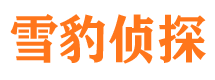 麻山侦探公司